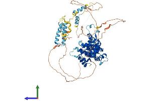 AlphaFold protein structure predicition of Human Recombinant FIGNL1 Protein, UniprotID Q6PIW4