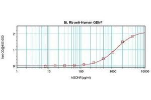 Image no. 1 for anti-Glial Cell Line Derived Neurotrophic Factor (GDNF) antibody (Biotin) (ABIN465545) (GDNF anticorps  (Biotin))
