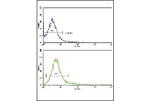 Flow cytometric analysis of jurkat cells using CD45 Antibody (bottom histogram) compared to a negative control cell (top histogram).