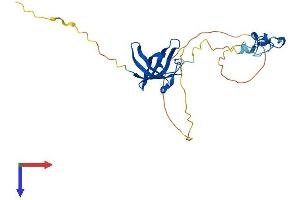 AlphaFold protein structure predicition of Mouse Recombinant Lin28b Protein, UniprotID Q45KJ6