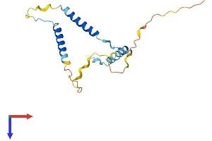 AlphaFold protein structure predicition of Human Recombinant GPSM3 Protein, UniprotID Q9Y4H4