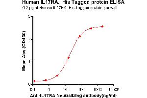 ELISA plate pre-coated by 2 μg/mL (100 μL/well) Human IL17RA, His tagged protein (ABIN6961154, ABIN7042337 and ABIN7042338) can bind Anti-IL17RA Neutralizing antibody ABIN7093057 and ABIN7272587 in a linear range of 3.