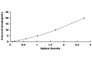 Typical standard curve (GSDMD Kit ELISA)