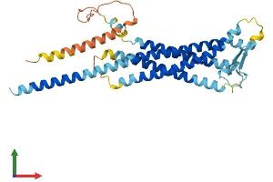 AlphaFold protein structure predicition of Mouse Recombinant Gpm6b Protein, UniprotID P35803