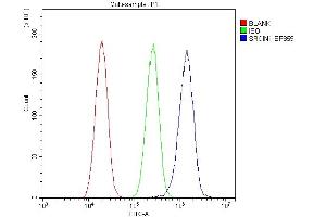 Flow Cytometry analysis of A549 cells using anti-SRCIN1 antibody (ABIN6719623).