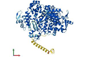 AlphaFold protein structure predicition of Mouse Recombinant Rrm1 Protein, UniprotID P07742