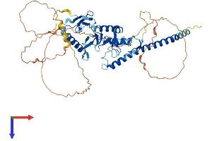 AlphaFold protein structure predicition of Mouse Recombinant Rnf217 Protein, UniprotID D3YYI7
