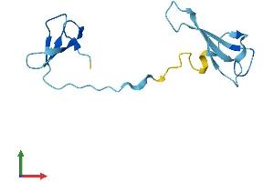 AlphaFold protein structure predicition of Human Recombinant POLR3K Protein, UniprotID Q9Y2Y1