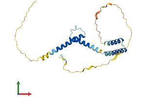 AlphaFold protein structure predicition of Human Recombinant HES4 Protein, UniprotID Q9HCC6
