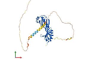 AlphaFold protein structure predicition of Mouse Recombinant Tbp Protein, UniprotID P29037
