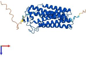AlphaFold protein structure predicition of Human Recombinant PAQR3 Protein, UniprotID Q6TCH7