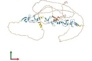 AlphaFold protein structure predicition of Human Recombinant AJUBA Protein, UniprotID Q96IF1