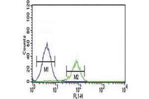 PCSK2 antibody flow cytometric analysis of K562 cells (right histogram) compared to a negative control (left histogram).