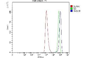 Flow Cytometry analysis of HEL cells using anti-HMGCR antibody (ABIN7600989). (HMGCR anticorps  (AA 268-842))