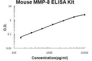 Mouse MMP-8 PicoKine ELISA Kit standard curve (MMP8 Kit ELISA)