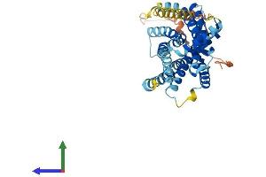 AlphaFold protein structure predicition of Mouse Recombinant Bdkrb2 Protein, UniprotID P32299