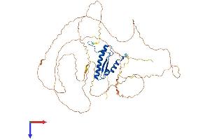 AlphaFold protein structure predicition of Mouse Recombinant Srf Protein, UniprotID Q9JM73