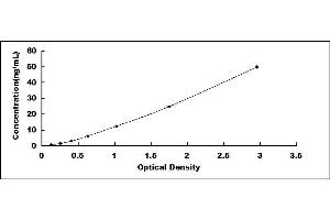Typical standard curve (RNASET2 Kit ELISA)