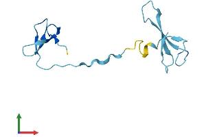 AlphaFold protein structure predicition of Mouse Recombinant Polr3k Protein, UniprotID Q9CQZ7