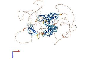 AlphaFold protein structure predicition of Human Recombinant GTF2IRD1 Protein, UniprotID Q9UHL9