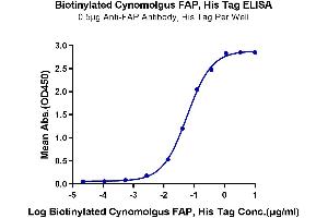 Immobilized Anti-FAP Antibody, hFc Tag at 5 μg/mL (100 μL/well) on the plate.