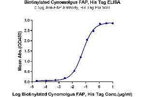 Immobilized Anti-FAP Antibody, hFc Tag at 5 μg/mL (100 μL/well) on the plate. (FAP Protein (AA 26-760) (His-Avi Tag,Biotin))