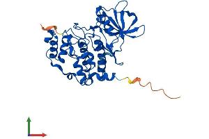 AlphaFold protein structure predicition of Human Recombinant CSNK2A2 Protein, UniprotID P19784