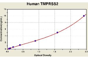 Diagramm of the ELISA kit to detect Human TMPRSS2with the optical density on the x-axis and the concentration on the y-axis. (TMPRSS2 Kit ELISA)