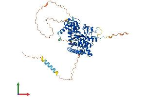 AlphaFold protein structure predicition of Human Recombinant GAL3ST4 Protein, UniprotID Q96RP7