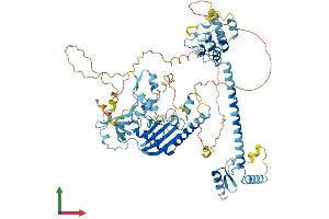 AlphaFold protein structure predicition of Human Recombinant ANKZF1 Protein, UniprotID Q9H8Y5