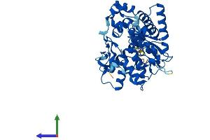 AlphaFold protein structure predicition of Human Recombinant GAL3ST2 Protein, UniprotID Q9H3Q3