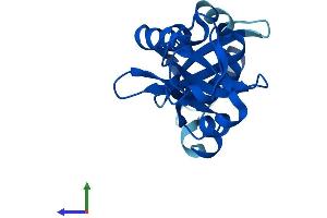 AlphaFold protein structure predicition of Mouse Recombinant Nip7 Protein, UniprotID Q9CXK8