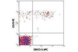 Flow Cytometry (FACS) image for anti-Fc Fragment of IgE, Low Affinity II, Receptor For (CD23) (FCER2) antibody (APC) (ABIN2658540)