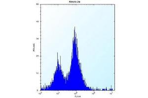 Flow cytometric analysis of Neuro-2a cells using Peroxin 14 / PEX14 Antibody (Center) Cat.