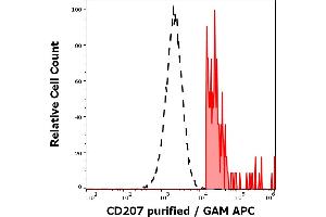 Separation of human CD64 positive CD207 positive cells (red-filled) from CD64 negative CD207 negative cells (black-dashed) in flow cytometry analysis (intracellular staining) of human stimulated (GM-CSF + IL-4 + TGF-beta) peripheral blood mononuclear cells stained using anti-human CD207 (2G3) purified antibody (concentration in sample 0.