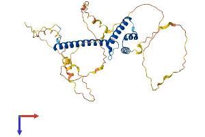 AlphaFold protein structure predicition of Human Recombinant NEUROD1 Protein, UniprotID Q13562
