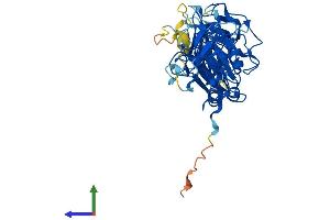 AlphaFold protein structure predicition of Human Recombinant PELI2 Protein, UniprotID Q9HAT8