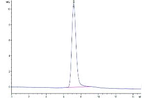 The purity of Human MANSC1 is greater than 95 % as determined by SEC-HPLC. (MANSC1 Protein (AA 27-385) (His tag))