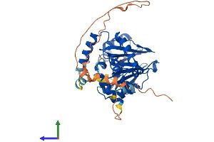 AlphaFold protein structure predicition of Mouse Recombinant Pnkd Protein, UniprotID Q69ZP3
