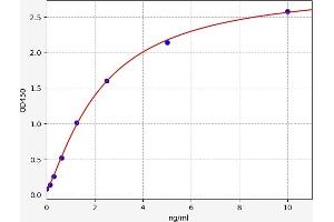 Typical standard curve