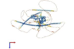 AlphaFold protein structure predicition of Mouse Recombinant Rpgrip1 Protein, UniprotID Q9EPQ2
