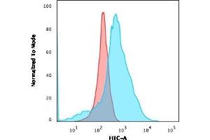 Flow Cytometric Analysis of K562 cells using GLUT-1 Mouse Monoclonal Antibody (GLUT1/2475) followed by goat anti-Mouse IgG-CF488 (Blue); Isotype Control (Red).