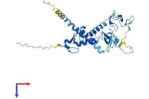 AlphaFold protein structure predicition of Mouse Recombinant Rnf144a Protein, UniprotID Q925F3