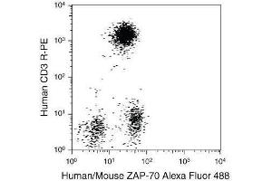Human peripheral blood from normal donors was stained using a combination of anti–human CD3 monoclonal antibody (clone: S4.