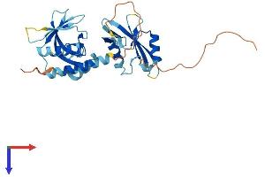 AlphaFold protein structure predicition of Mouse Recombinant Stap1 Protein, UniprotID Q9JM90