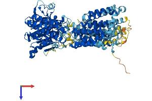 AlphaFold protein structure predicition of Human Recombinant PIGN Protein, UniprotID O95427