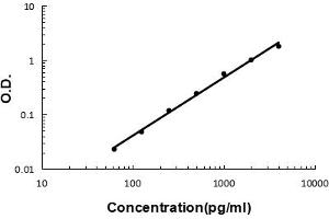 Sandwich ELISA - Recombinant mouse OIF/Ogn protein standard curve.