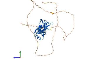 AlphaFold protein structure predicition of Human Recombinant MSI1 Protein, UniprotID O43347