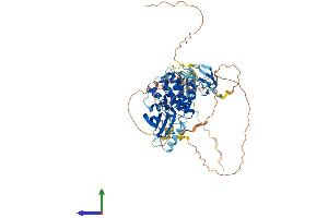 AlphaFold protein structure predicition of Human Recombinant ARAF Protein, UniprotID P10398