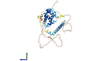 AlphaFold protein structure predicition of Human Recombinant BCL2L14 Protein, UniprotID Q9BZR8